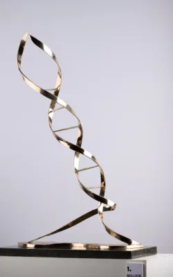 Double Helix by Anne Anderson
