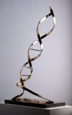 Double Helix by Anne Anderson