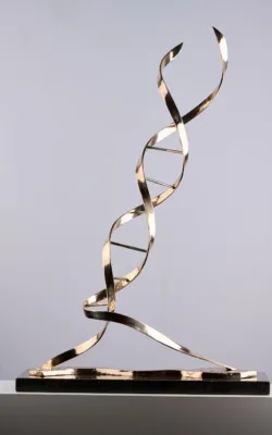Double Helix by Anne Anderson