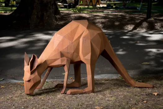 Downward Facing Dog by Matt Hill