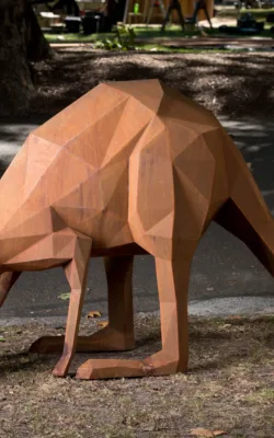 Downward Facing Dog by Matt Hill