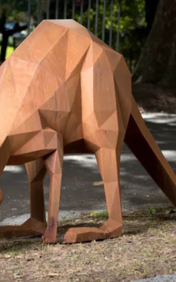 Downward Facing Dog by Matt Hill