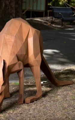 Downward Facing Dog by Matt Hill