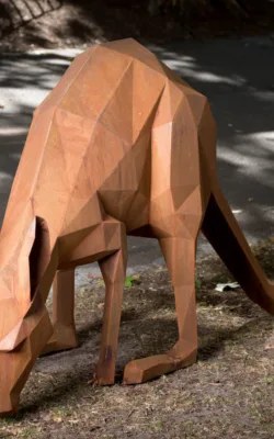 Downward Facing Dog by Matt Hill