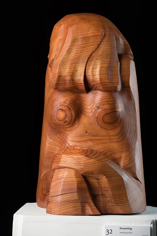 Dreaming by Anthony Kim