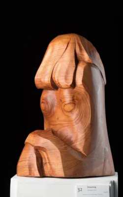 Dreaming by Anthony Kim