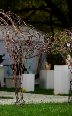 Duchess by Mark Niglia