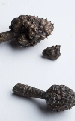 Dwindle by Ioanna Thymianidis