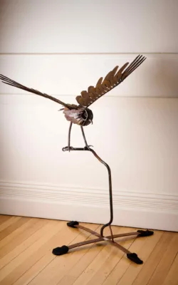 Eagle Landing by Graeme Hardidge