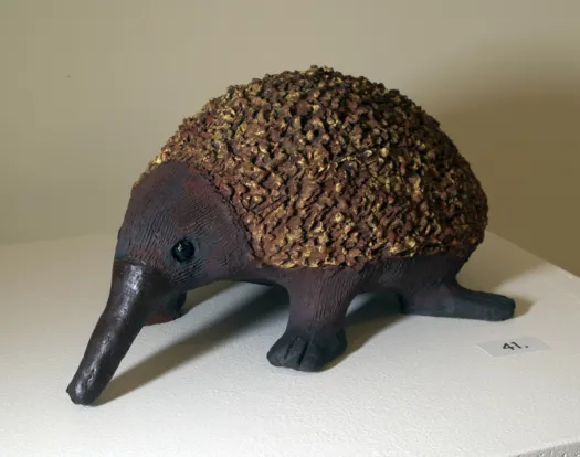 Echidna by Aleida Wright