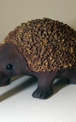 Echidna by Aleida Wright