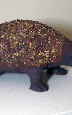 Echidna by Aleida Wright