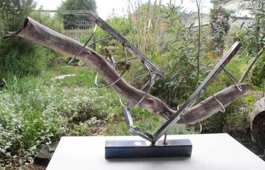 Eel Tracking by Rachel Steinman