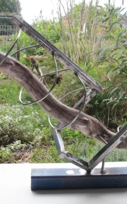 Eel Tracking by Rachel Steinman