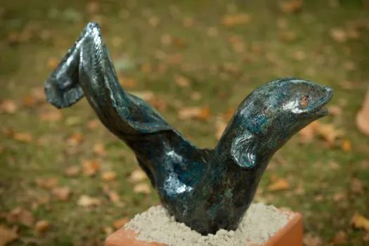 Eel by Meredith Plain