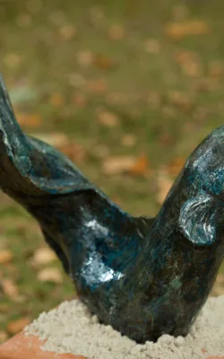 Eel by Meredith Plain