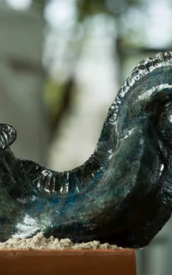 Eel by Meredith Plain