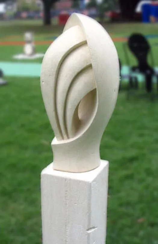 Emergence by John Bishop