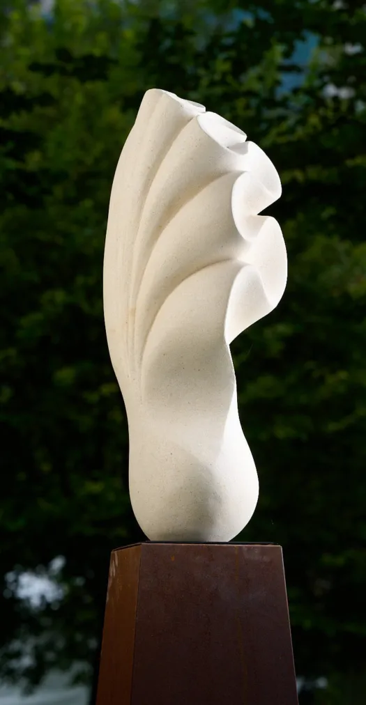 Emergent X by Bridget Whitehead