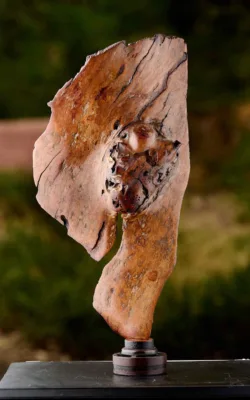 Emerging Heart by Aaron Jones