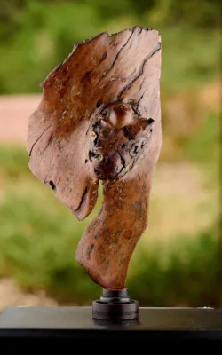 Emerging Heart by Aaron Jones