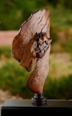 Emerging Heart by Aaron Jones