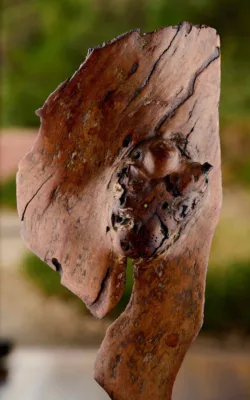 Emerging Heart by Aaron Jones