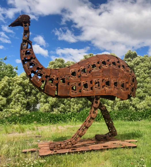 Emu on the run by Neil Findley