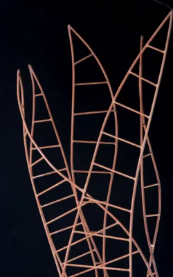 Entwined by Melanie Rayski-Mati