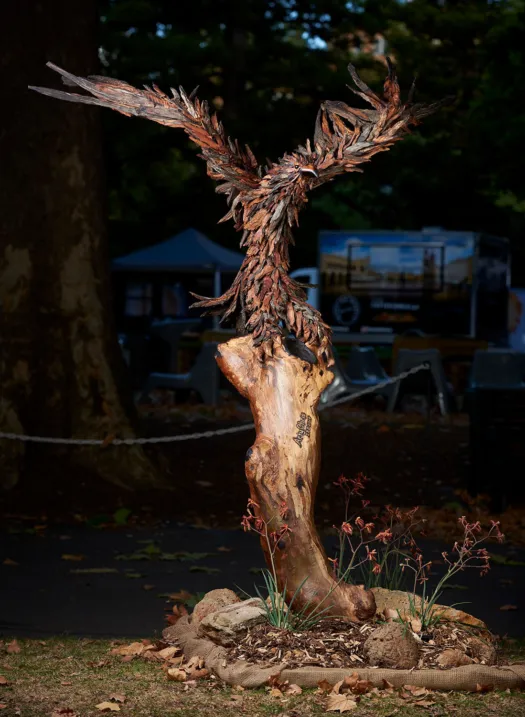 Erin the wedge tailed eagle by Chris Anderson