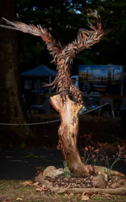 Erin the wedge tailed eagle by Chris Anderson