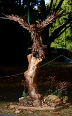 Erin the wedge tailed eagle by Chris Anderson