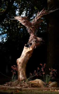 Erin the wedge tailed eagle by Chris Anderson