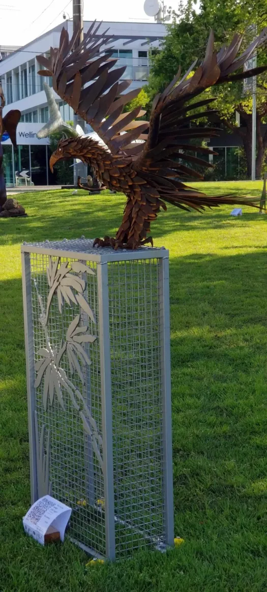 Estelle the wedge tailed eagle by Chris Anderson