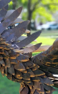 Estelle the wedge tailed eagle by Chris Anderson