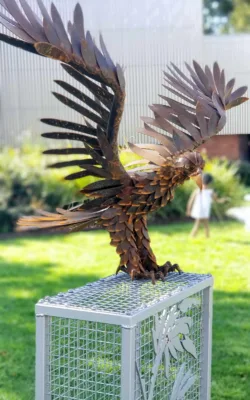 Estelle the wedge tailed eagle by Chris Anderson