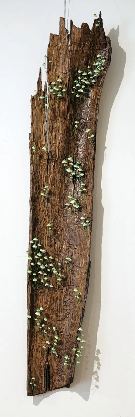 Etched by Nature by Jenn Spencer-Stewart