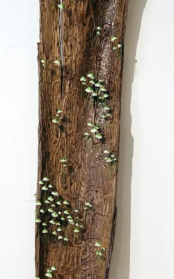 Etched by Nature by Jenn Spencer-Stewart