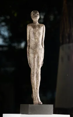 Expectation by Janice Whetton