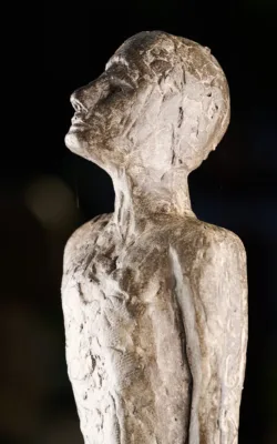 Expectation by Janice Whetton