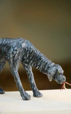 Fair Play by Aukje Van Vark