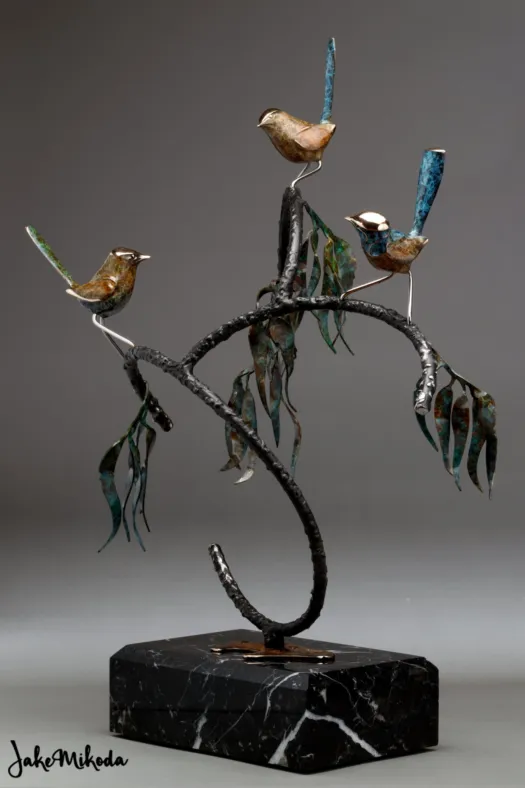 Fairy Wrens at play by Jake Mikoda