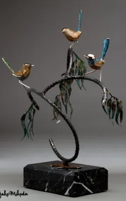 Fairy Wrens at play by Jake Mikoda