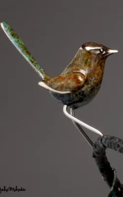 Fairy Wrens at play by Jake Mikoda