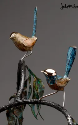Fairy Wrens at play by Jake Mikoda