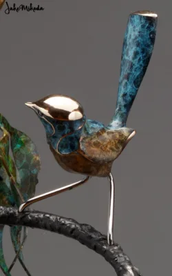 Fairy Wrens at play by Jake Mikoda