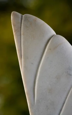 Fallen from Grace by Jenny Whiteside