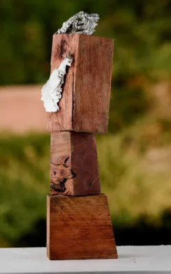 Fan Lobster by Denise Honan