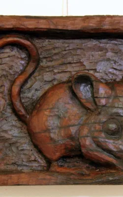 Fat tailed dunnart by Damian Curtain