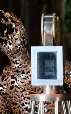 Feathers on film by Josh Hazelwood